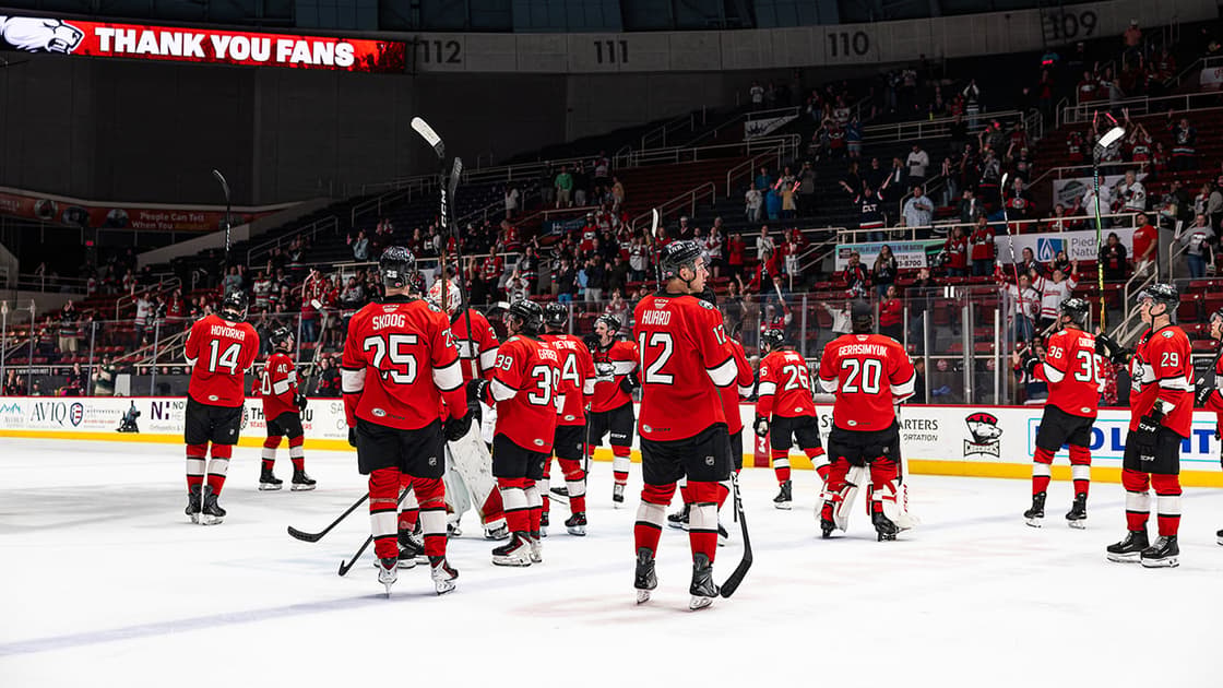Florida panthers