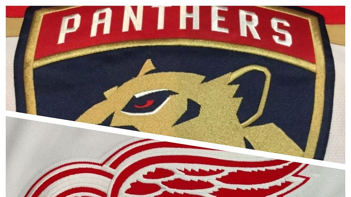 Detroit Wings Panthers Florida