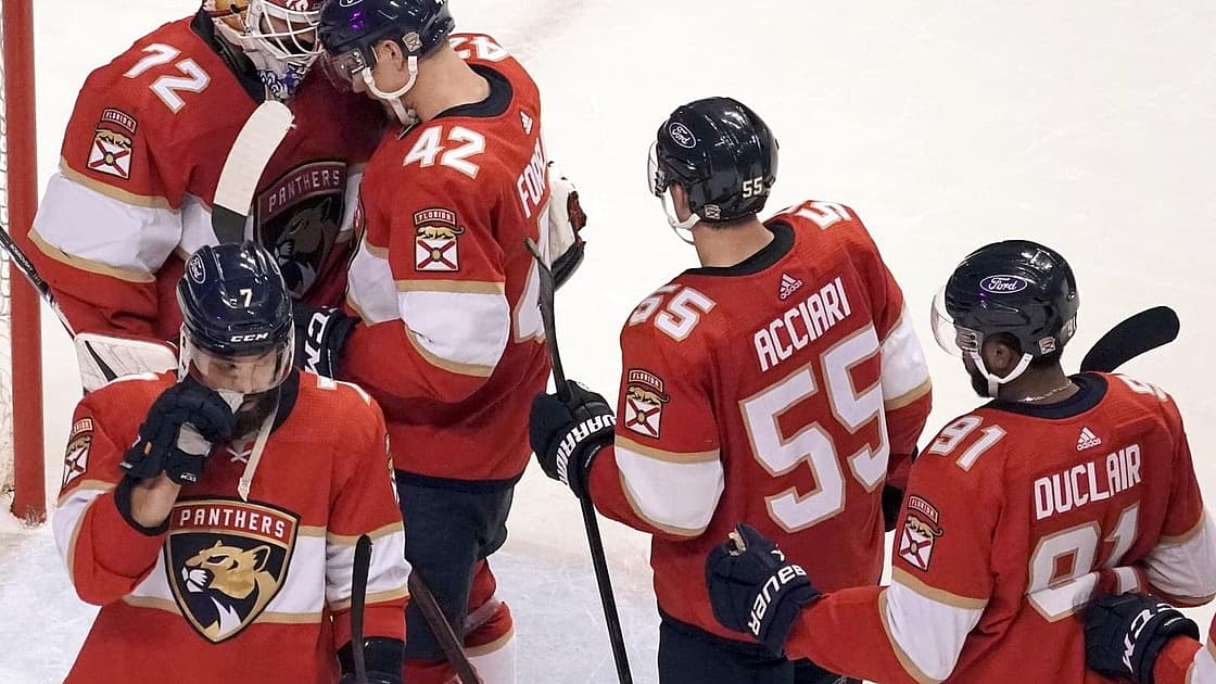 Wings Red Panthers