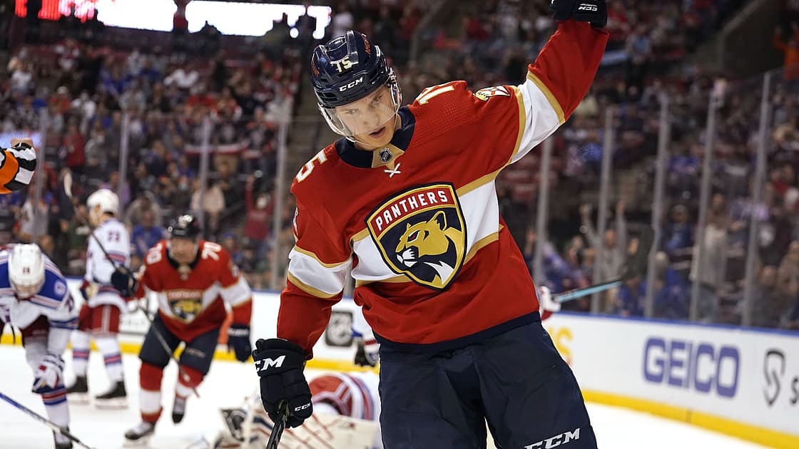 Florida panthers