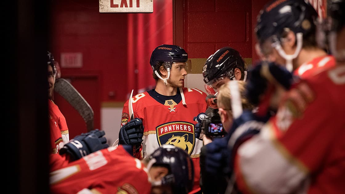 Florida panthers