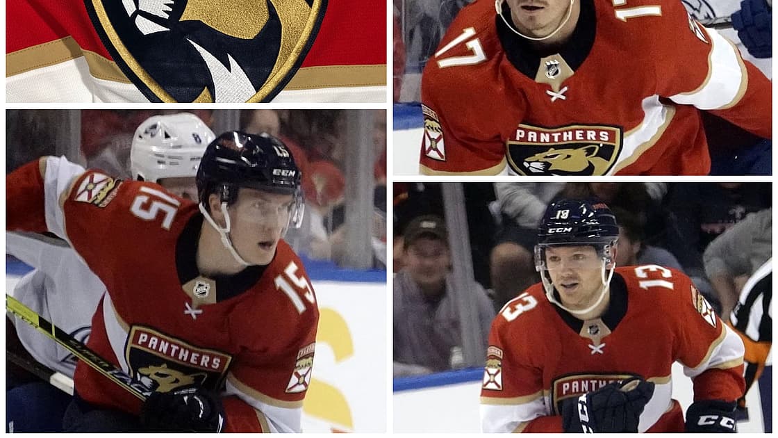 Florida panthers