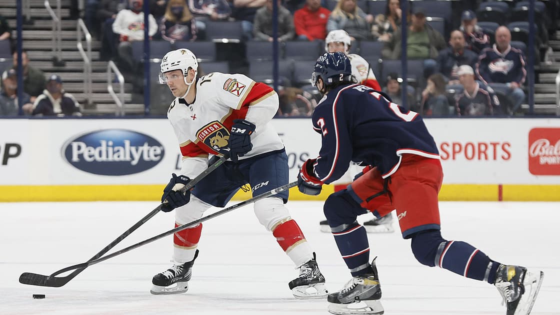Florida panthers