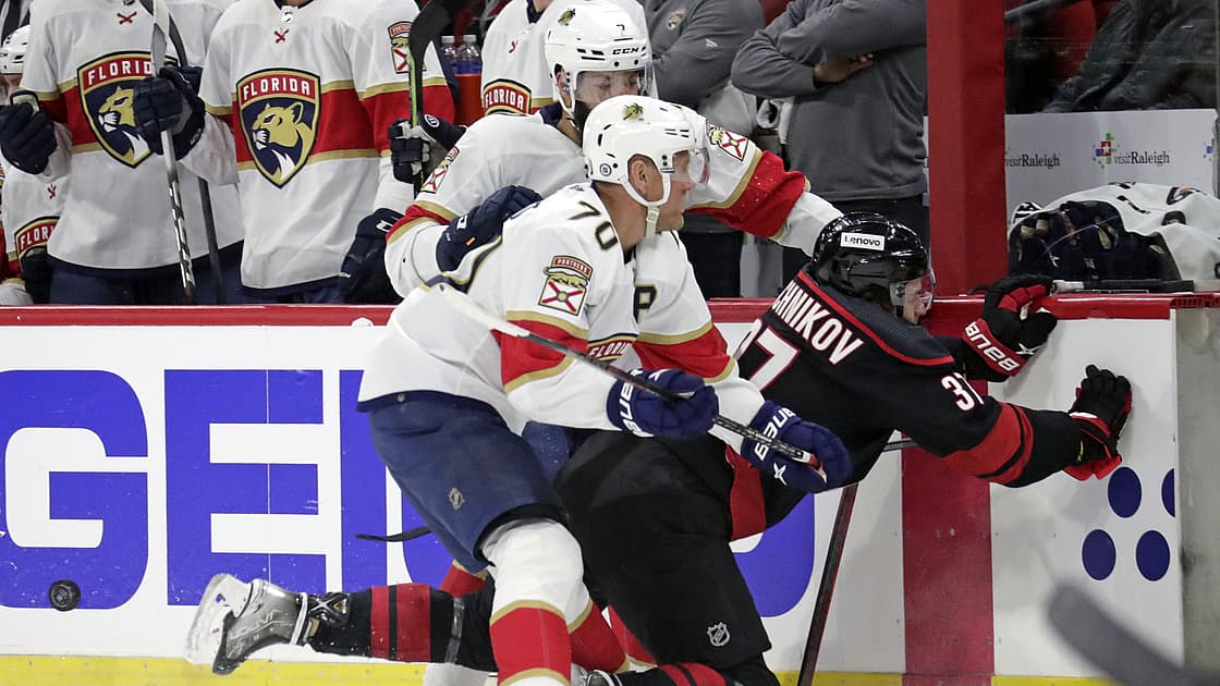 Florida panthers