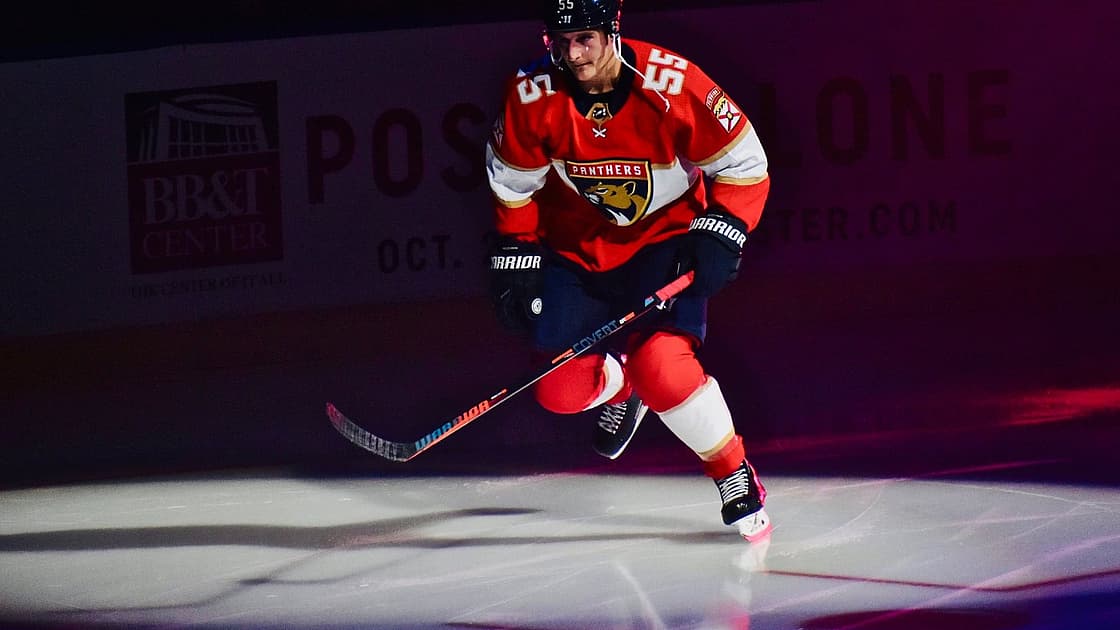 Florida panthers