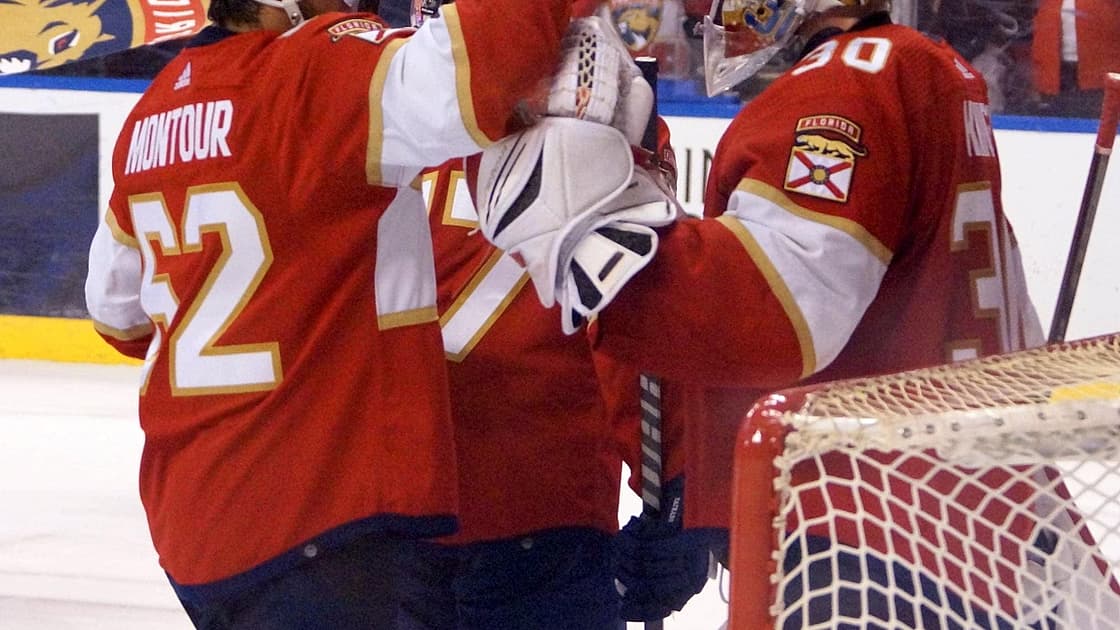Florida panthers