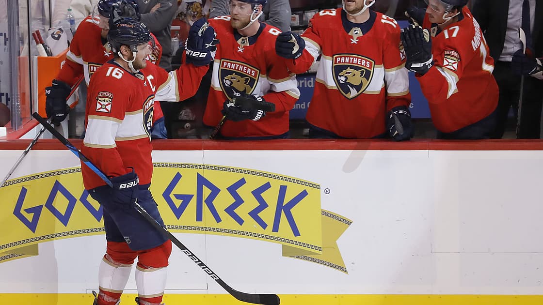 Florida panthers