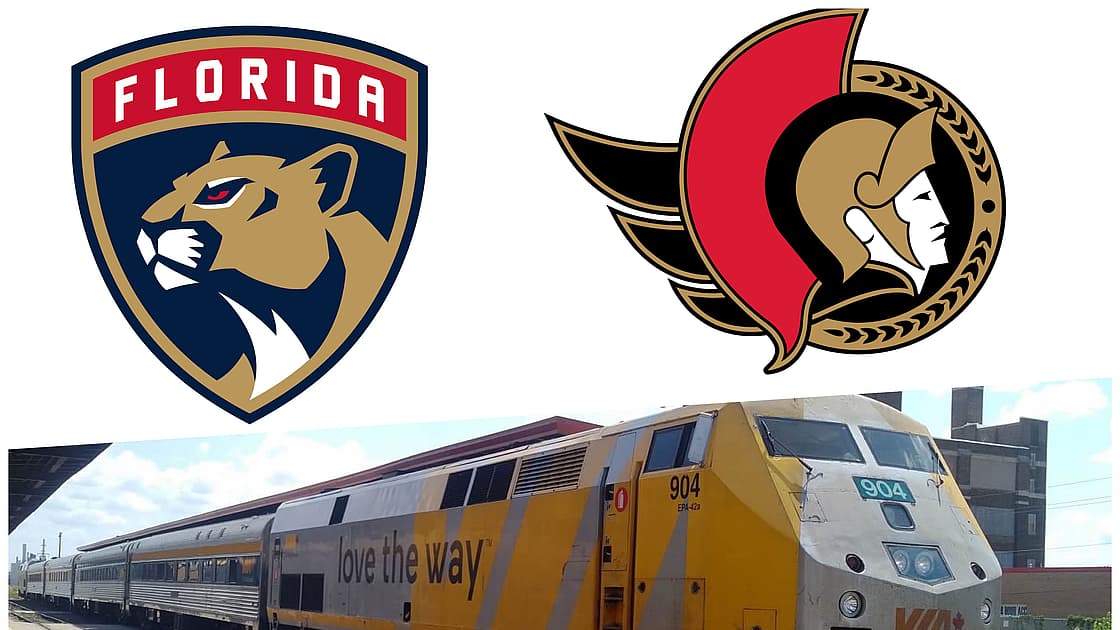 Florida panthers