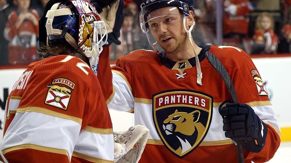 Florida panthers