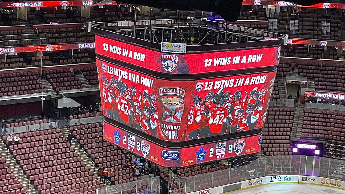 Florida panthers