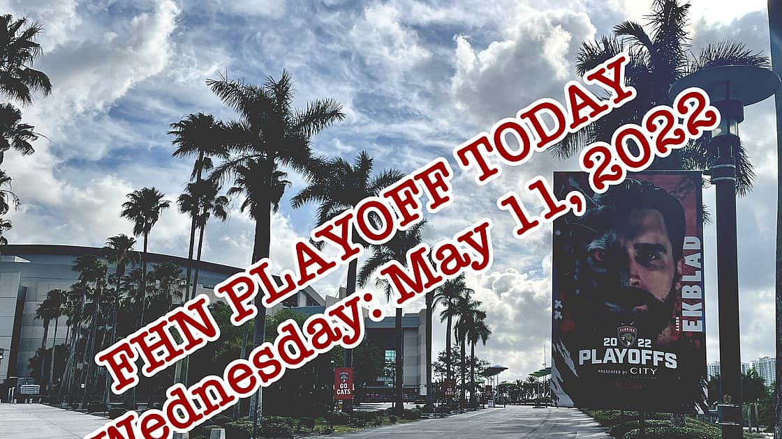 Florida panthers