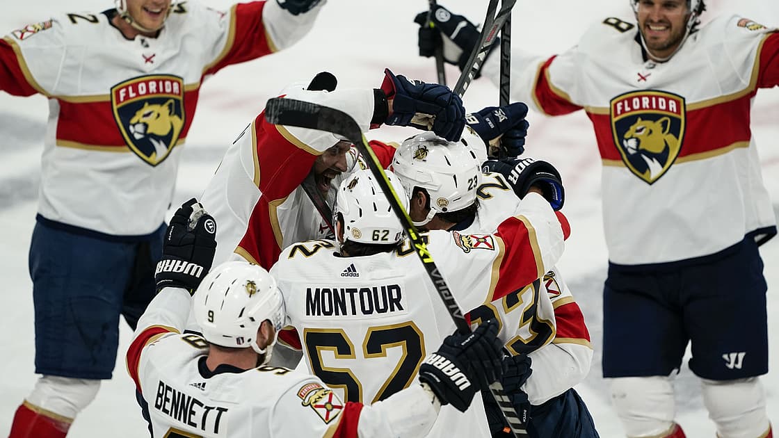 Florida panthers
