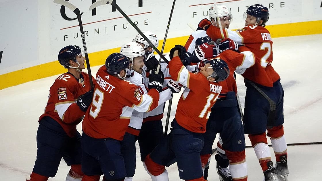 Florida panthers