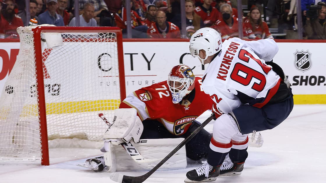 Florida panthers