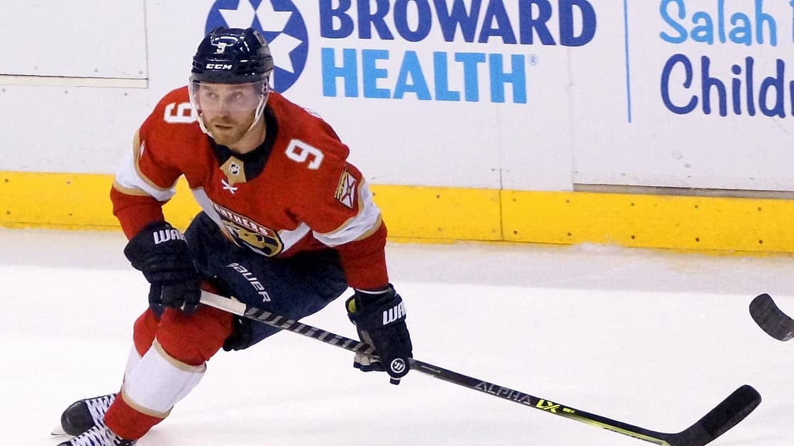 Florida panthers