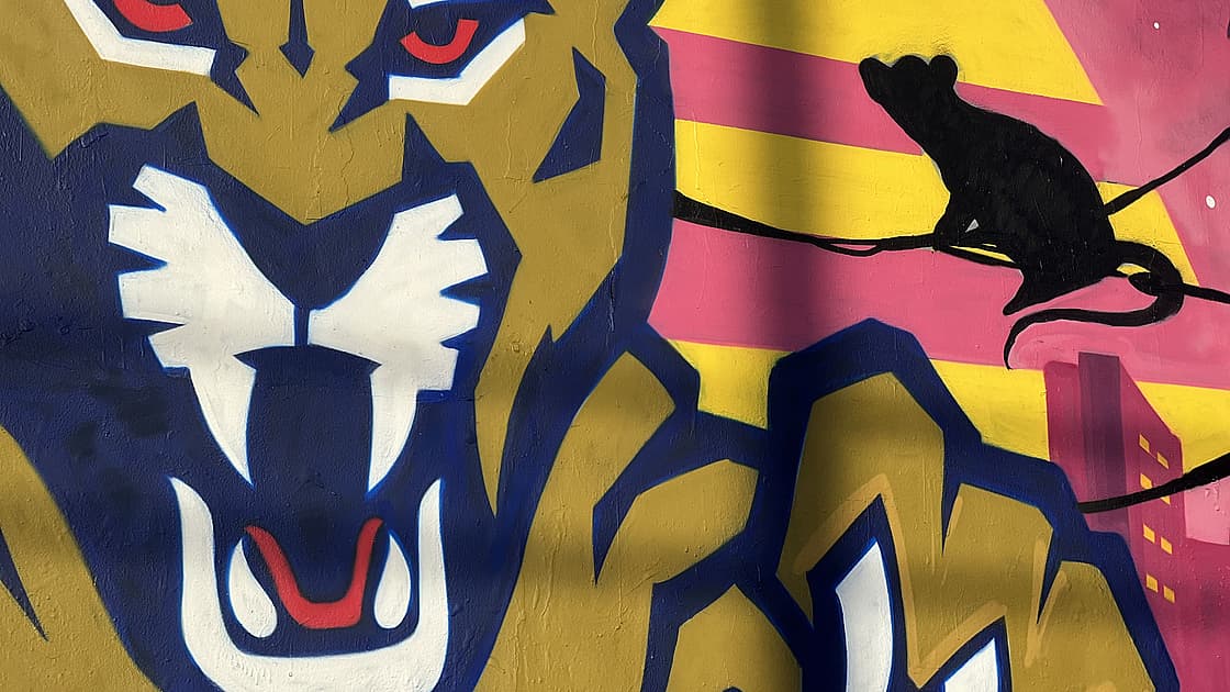 Florida panthers