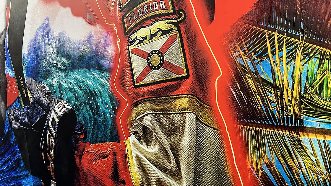 Florida panthers
