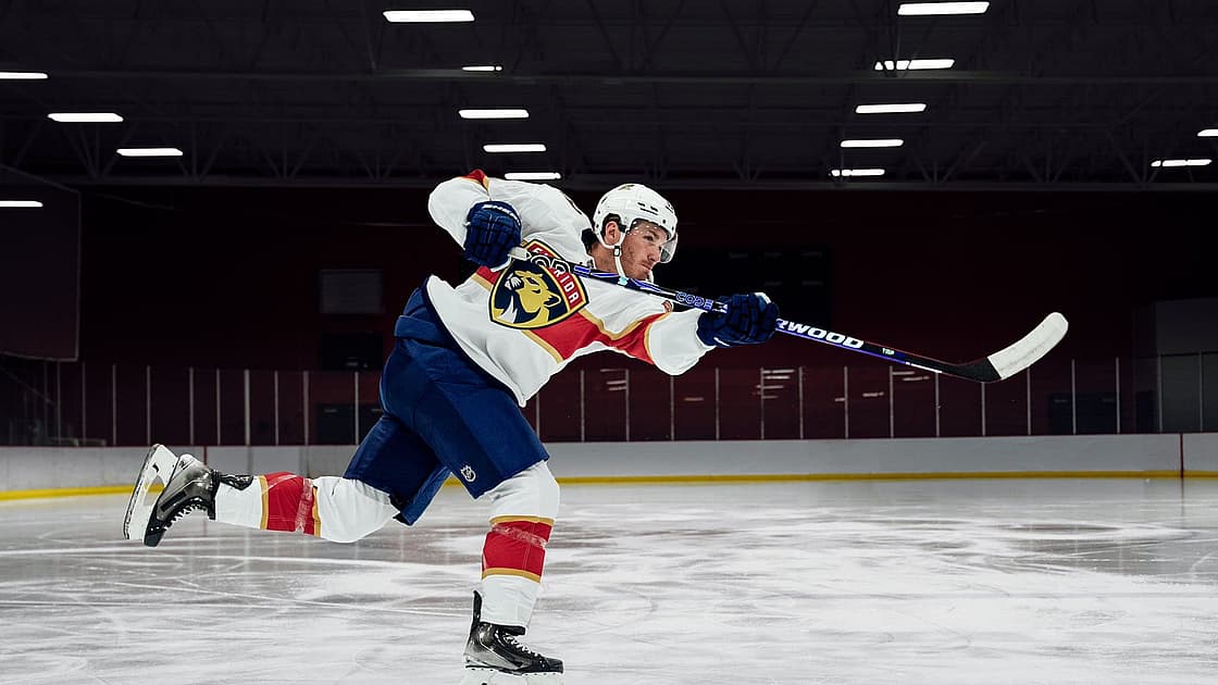 Florida panthers