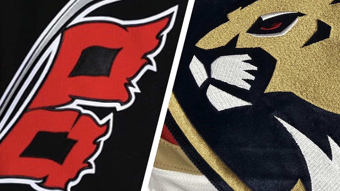Florida panthers