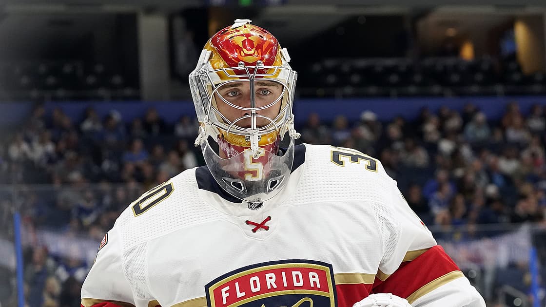 Florida panthers