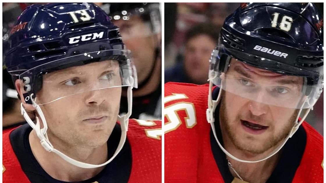Florida panthers