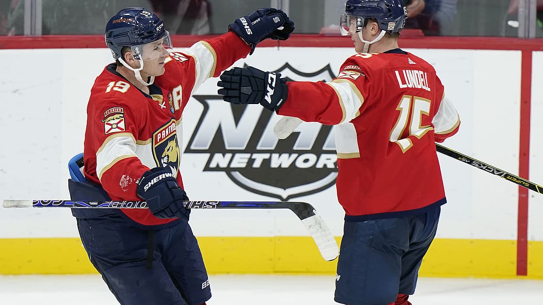 Florida panthers