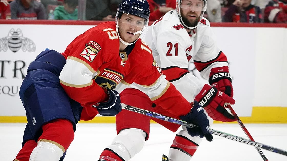 Florida panthers
