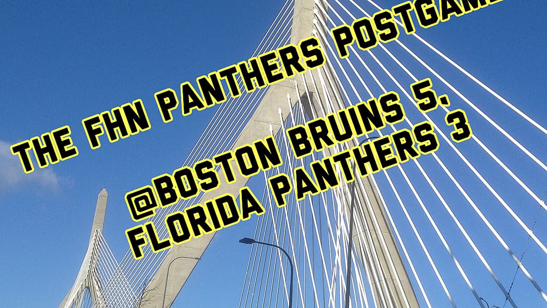 Florida panthers