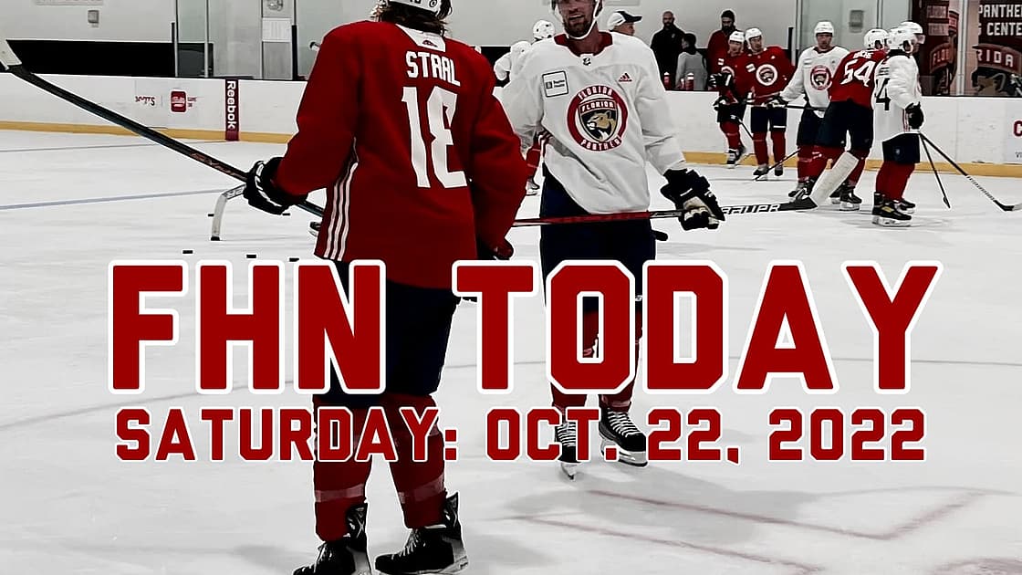 Florida panthers