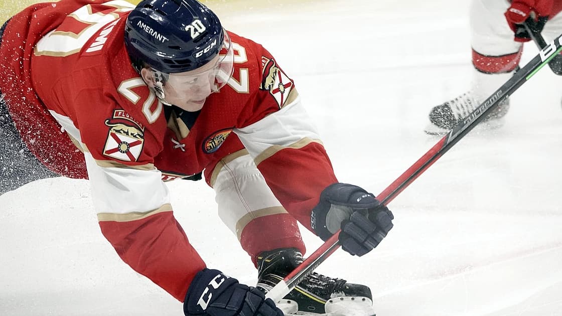Florida panthers