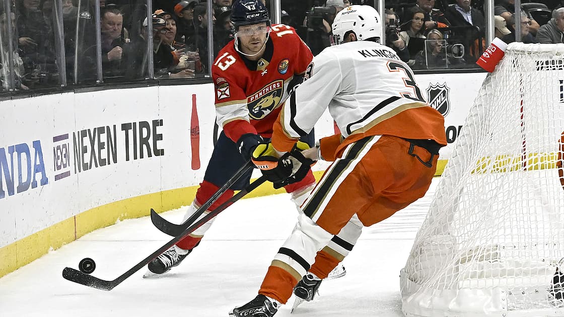 Florida panthers