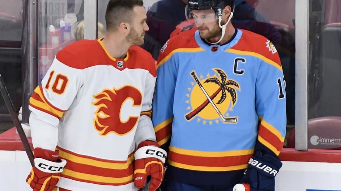 Florida panthers