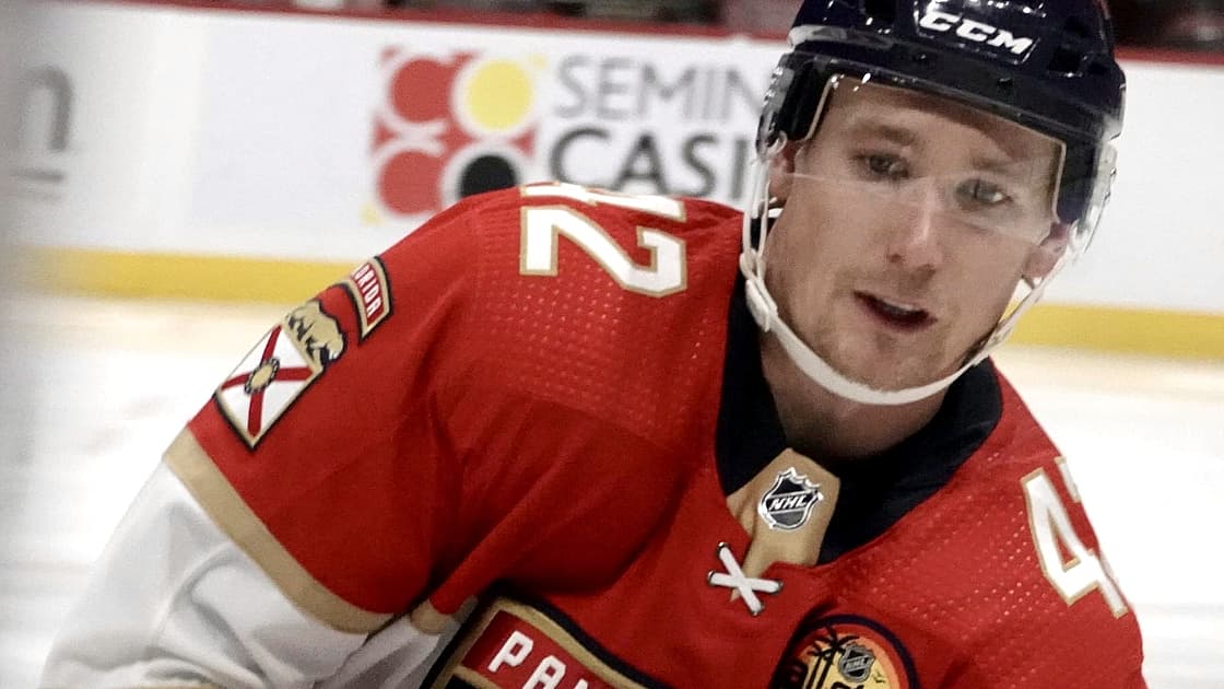 Florida panthers