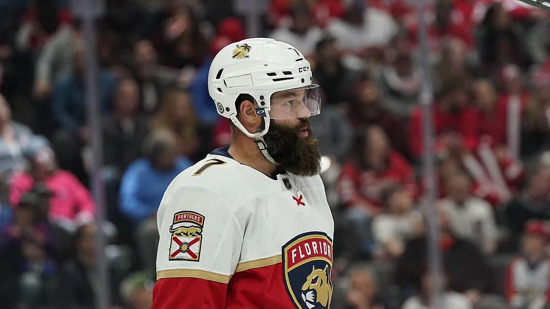 Florida panthers