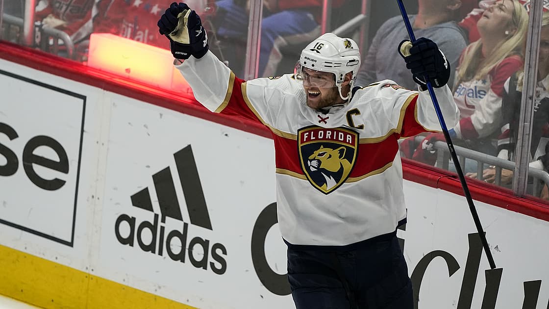 Florida panthers