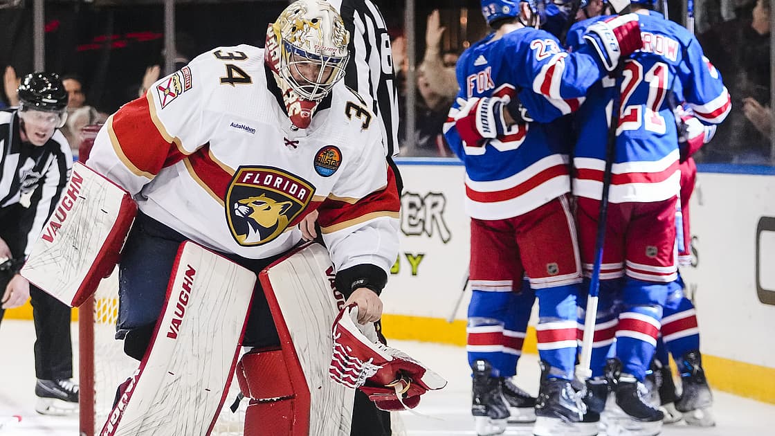 Florida panthers