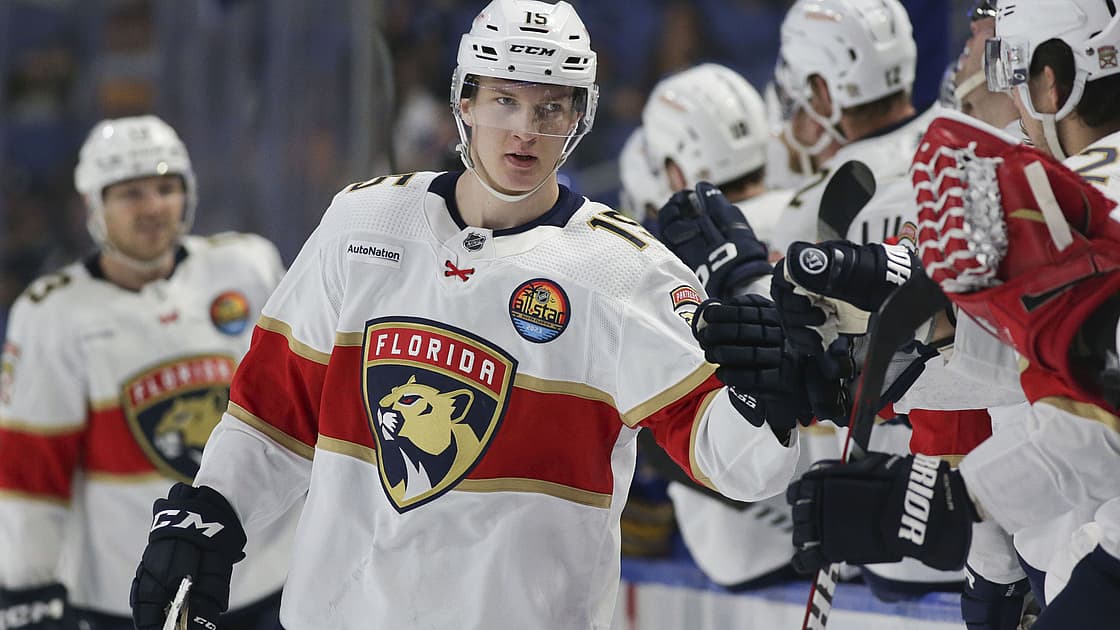 Florida panthers