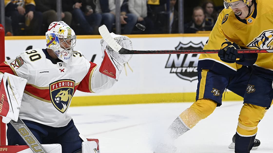 Florida panthers