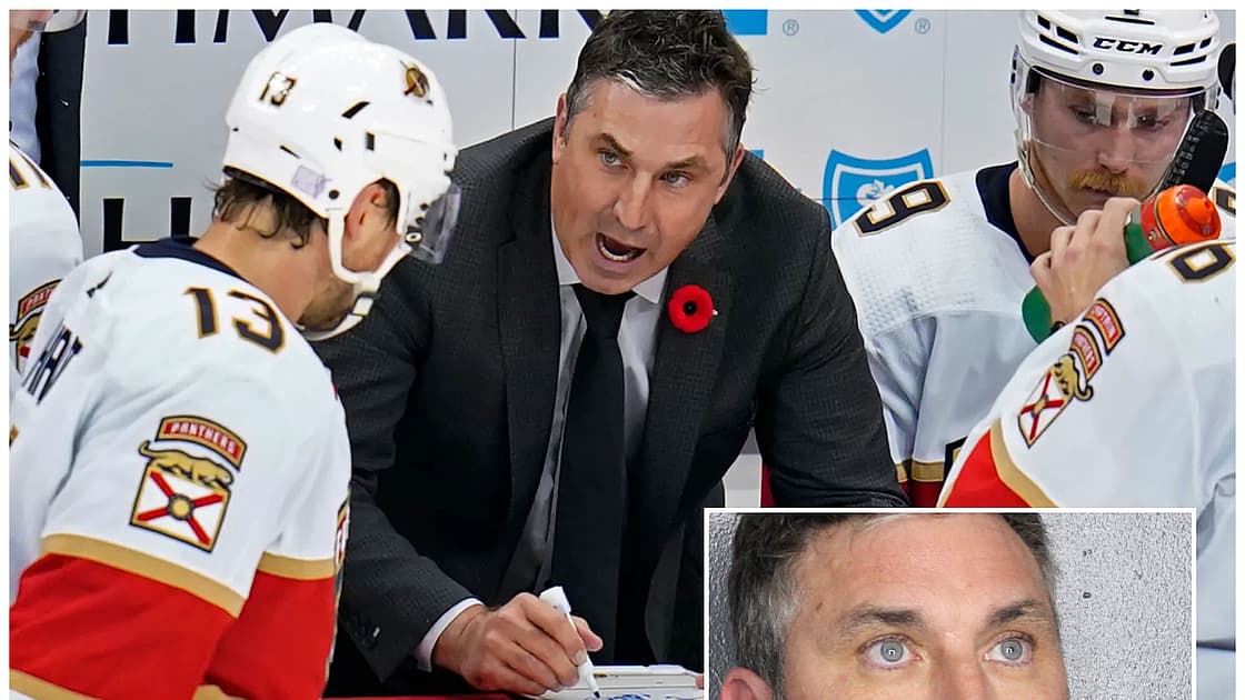Andrew brunette arrested