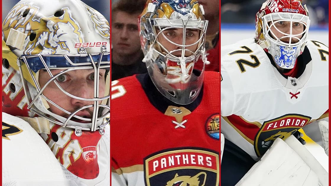 Florida panthers