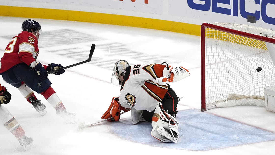 Florida panthers