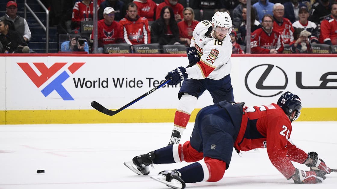 Florida panthers