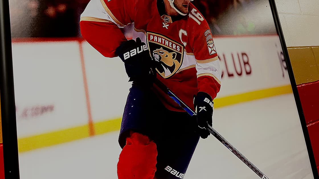 Panthers penguins
