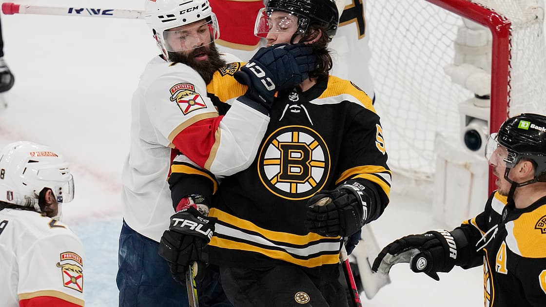 Panthers bruins
