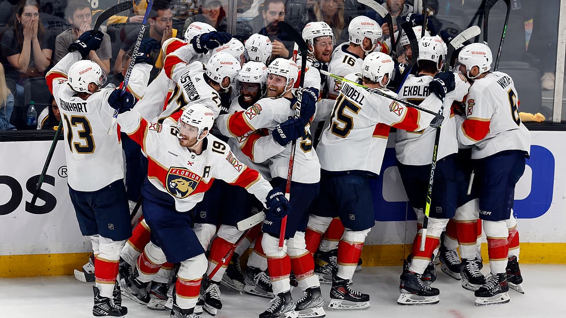 Panthers bruins