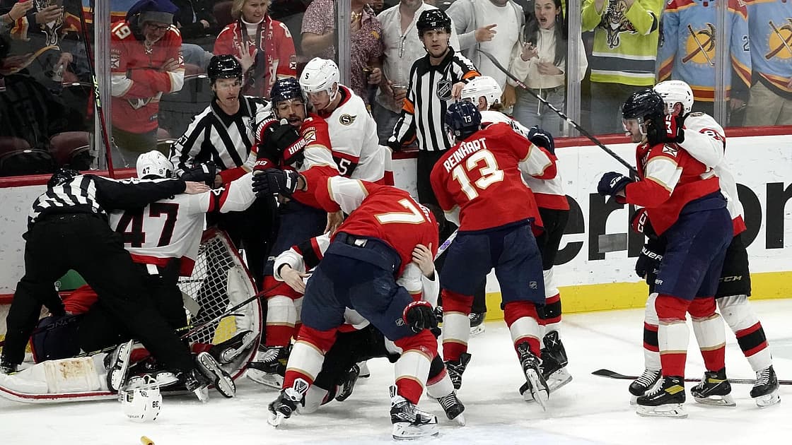 Florida panthers soft