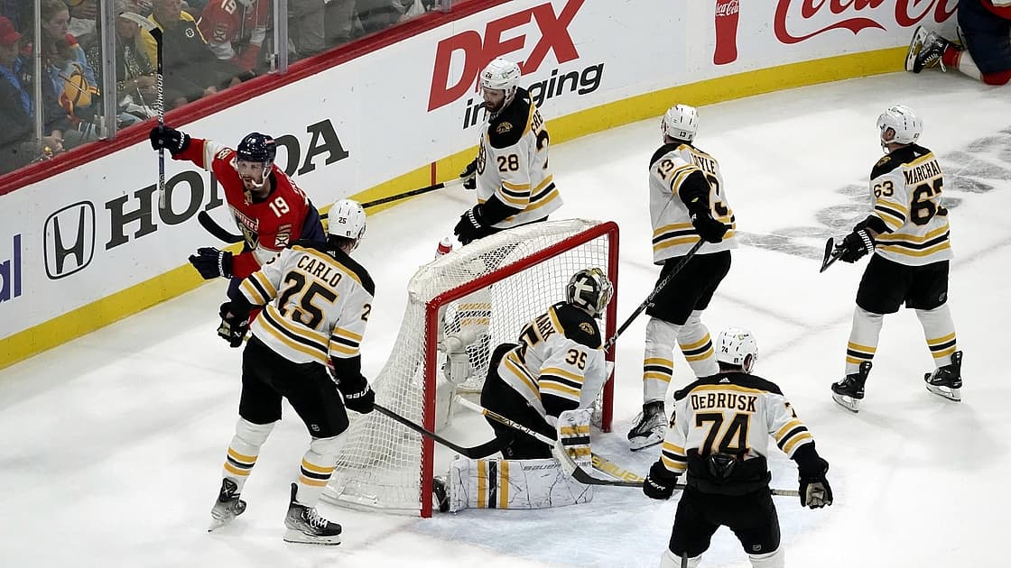 Florida panthers