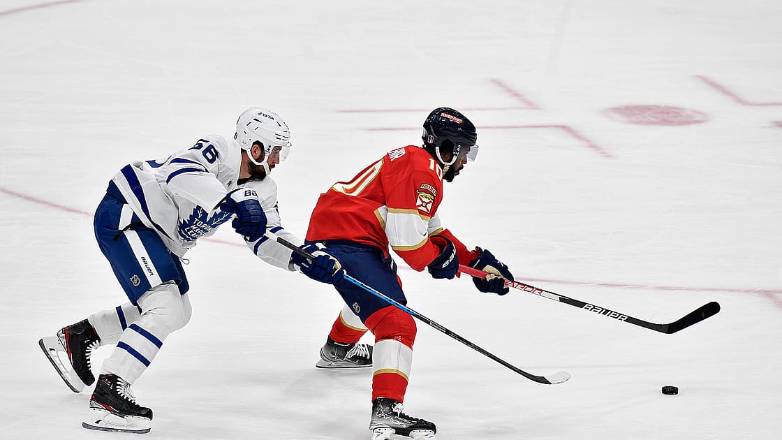 Panthers leafs