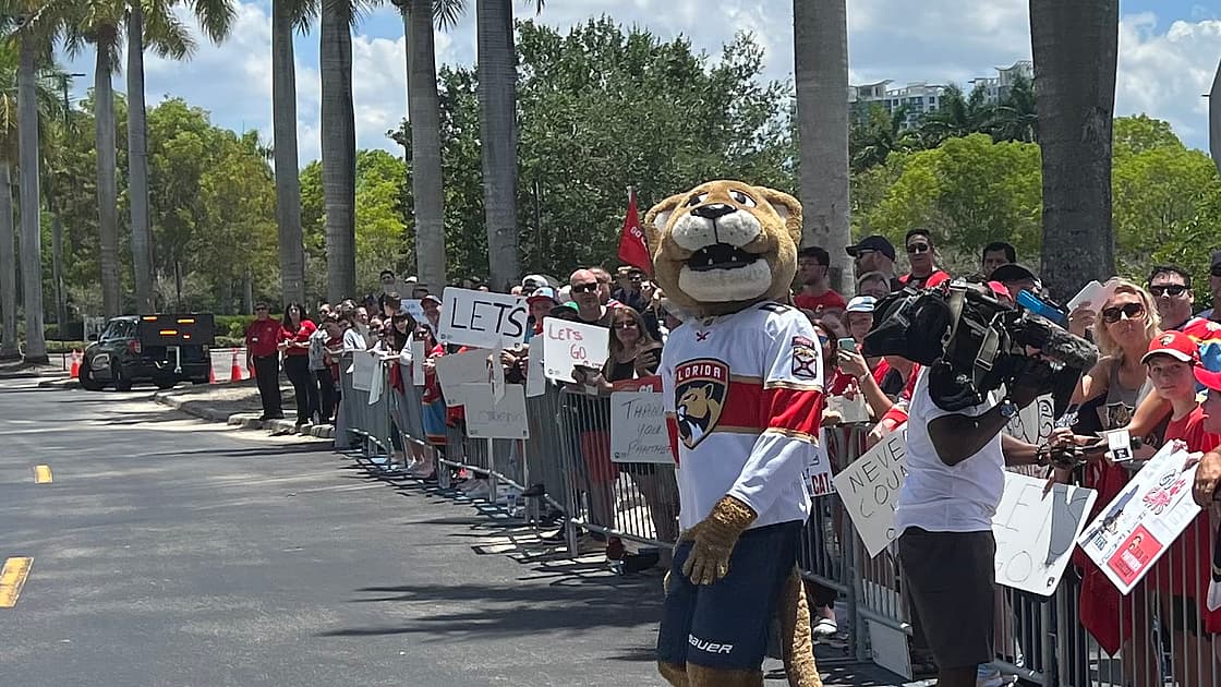 Florida panthers