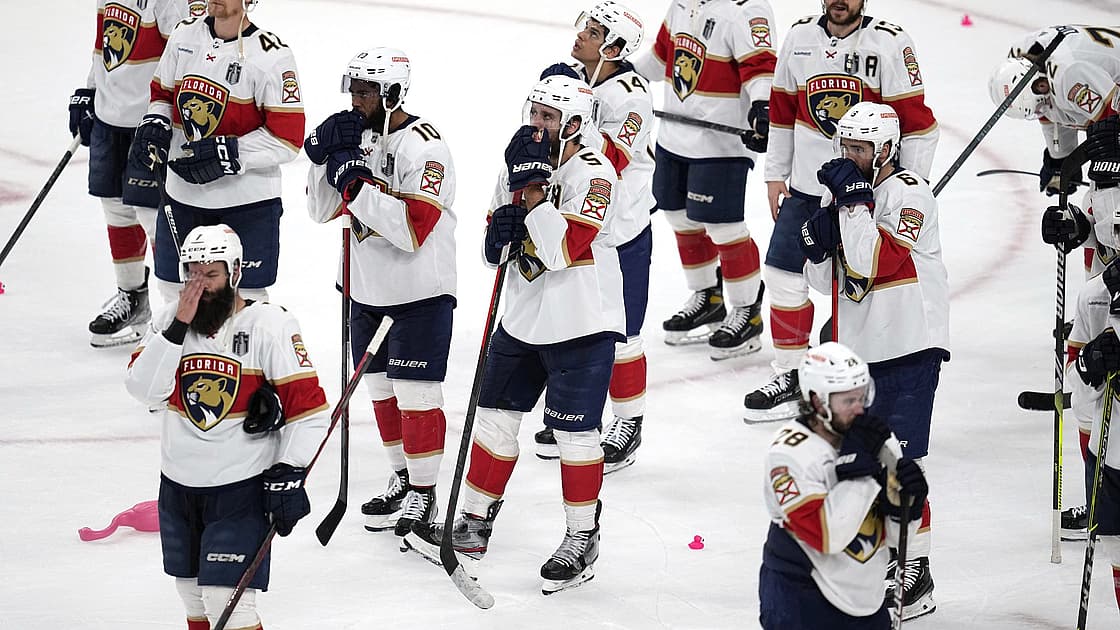 Florida panthers